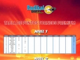 Imágen de la noticia: Tabla de Puntos Radikal Darts Member