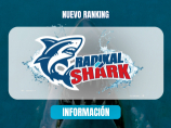 RADIKAL SHARK